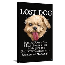 Jim Baldwin - Lost Dog Canvas Wall Poster, 14.725" x 22.375"