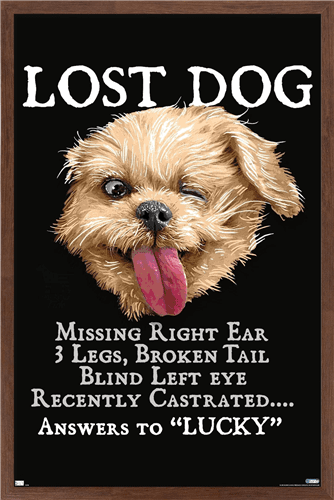 Jim Baldwin - Lost Dog Wall Poster, 14.725" x 22.375" Framed