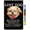 thumbnail image 1 of Jim Baldwin - Lost Dog Wall Poster, 22.375" x 34", 1 of 3