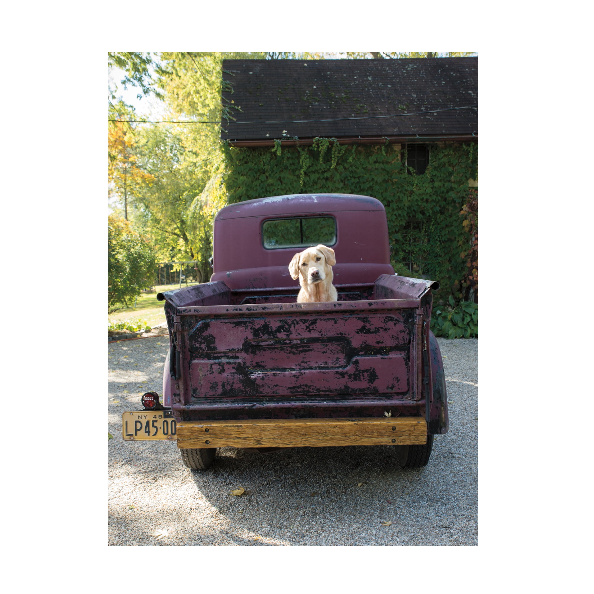 Jim Dratfield 'Get Out of Dodge' Canvas Art