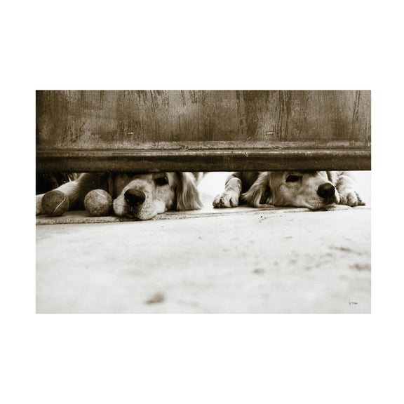 Jim Dratfield 'We See You v2' Canvas Art