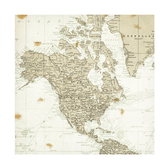 Jim Dratfield 'What a Cutie' Canvas Art