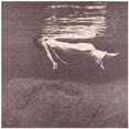 thumbnail image 1 of Jim Hall - Undercurrent - Music & Performance - CD, 1 of 1