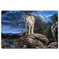 thumbnail image 1 of Jim Hansel JH221 24 x 36 in. Midnight Watch Satin Metal Sign, 1 of 1