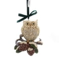 thumbnail image 1 of Jim Shore Legend Of Christmas Pinecone Owl Ornament Hope Renewal 6000676, 1 of 2