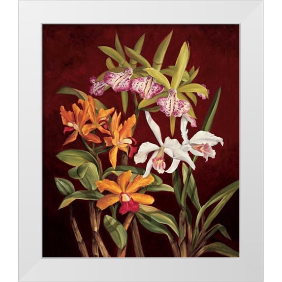 Jimenez, Rodolfo 12x13 White Modern Wood Framed Museum Art Print Titled - Orchid Trio II