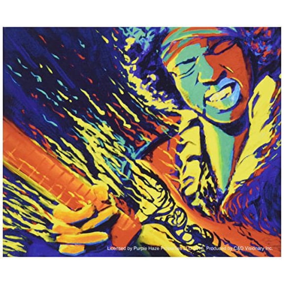 Jimi Hendrix C&D Visionary S-8091 Sticker