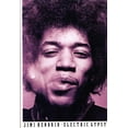 thumbnail image 1 of Pre-Owned Jimi Hendrix: Electric Gypsy (Hardcover) 0312058616 9780312058616, 1 of 1