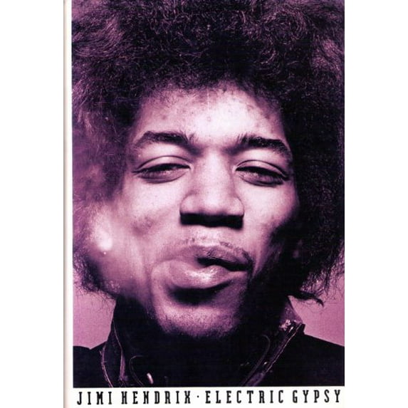 Pre-Owned Jimi Hendrix: Electric Gypsy (Hardcover) 0312058616 9780312058616