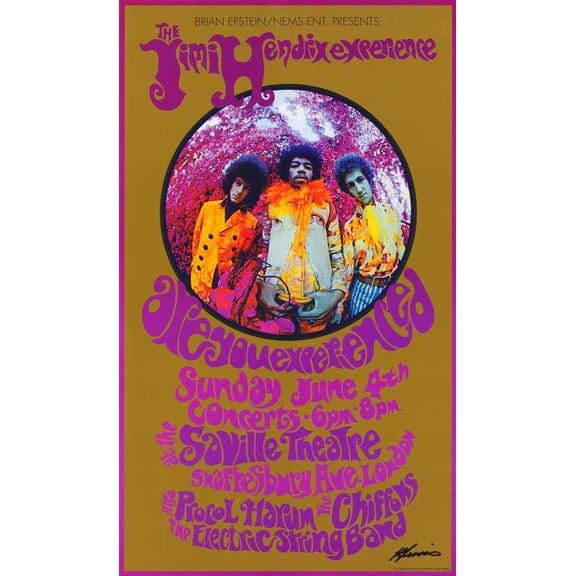 Jimi Hendrix Movie Poster Print (11 x 17)