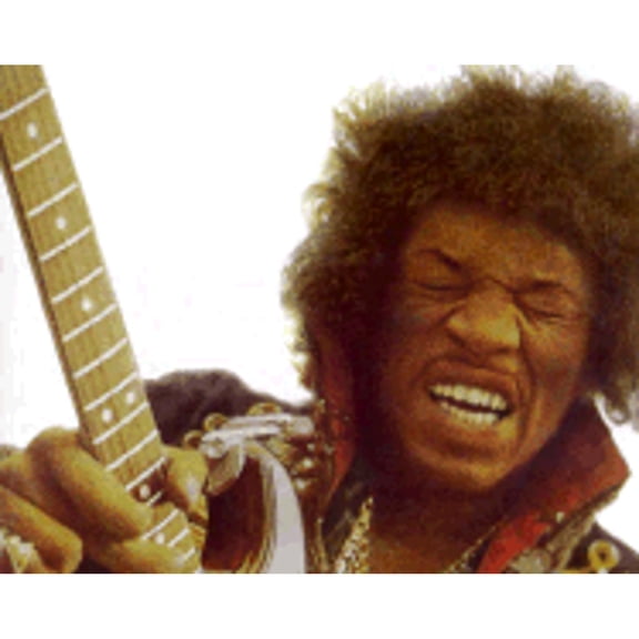 Pre-Owned Jimi Hendrix: Visual Documentary (Paperback) 0711927618 9780711927612