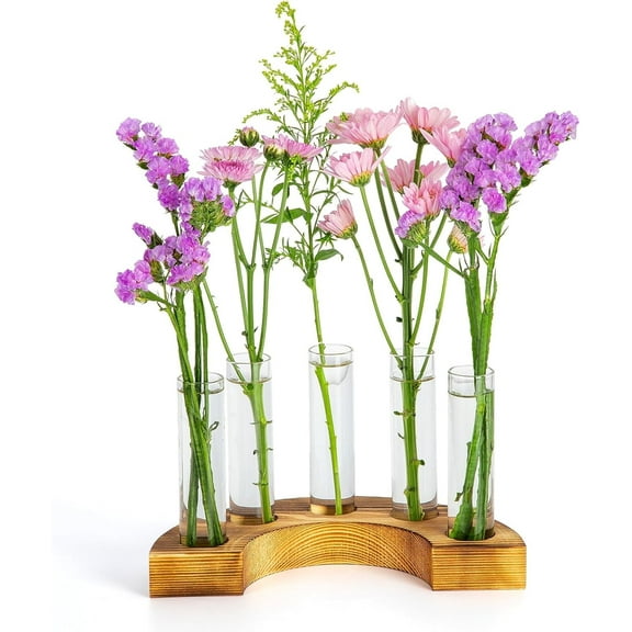 Jimin Decorative Vase Creative Curved Wooden Base Hydroponic Test Tube Vase High Borosilicate Glass Test Tube Vase