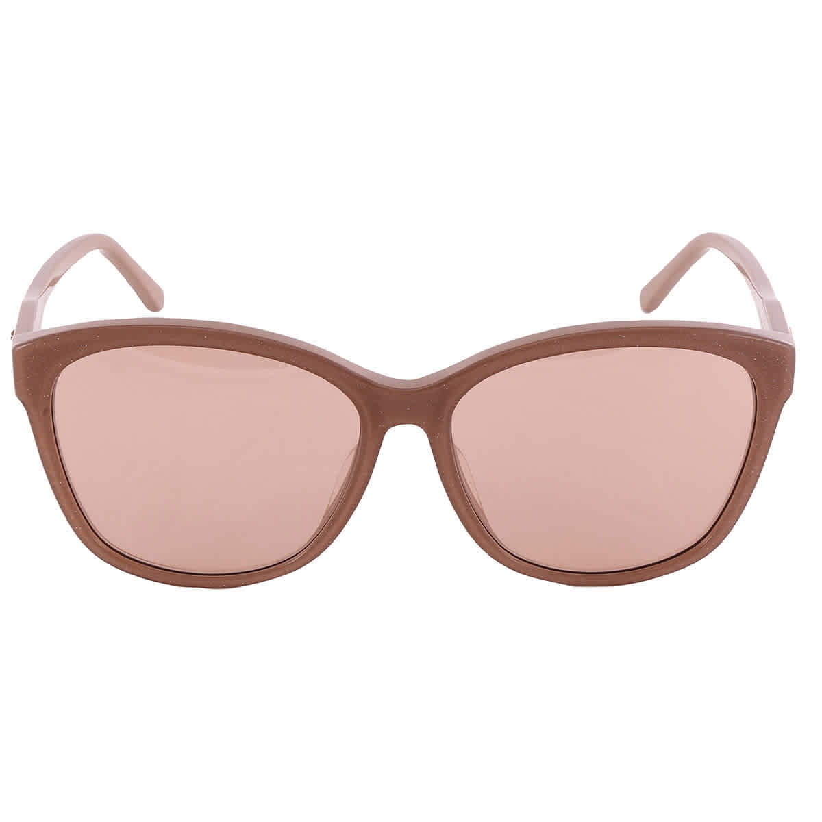 Jimmy Choo Women's Fede 59MM Butterfly Frame Sunglasses 