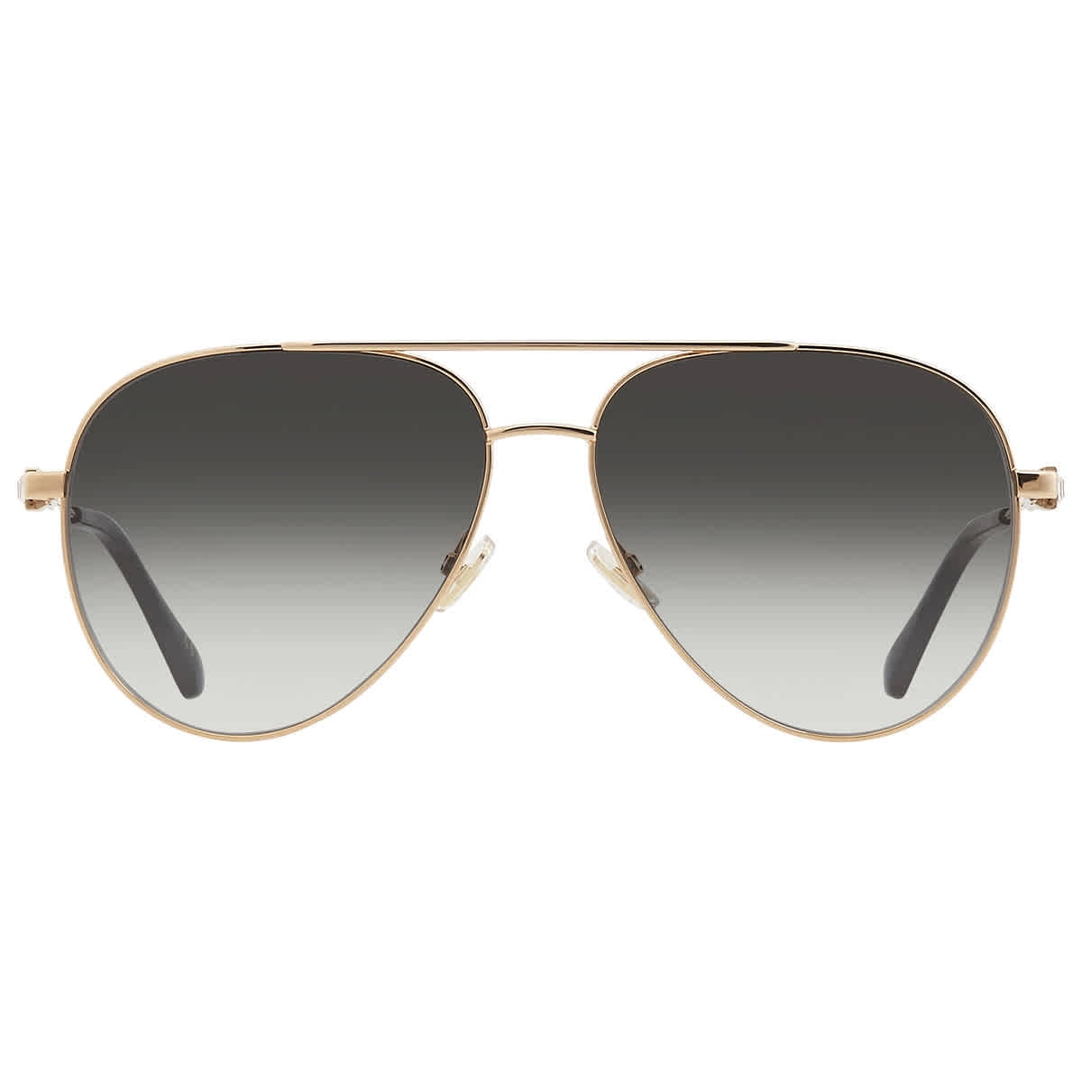 JIMMY CHOO DAHLA サングラス