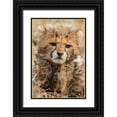 thumbnail image 1 of Jimmyz 11x14 Black Ornate Wood Framed with Double Matting Museum Art Print Titled - Baby Cheetah, 1 of 4