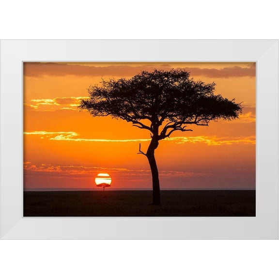 Jimmyz 14x11 White Modern Wood Framed Museum Art Print Titled - African Sunset II