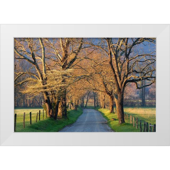 Jimmyz 14x11 White Modern Wood Framed Museum Art Print Titled - Sunset Path