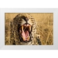 thumbnail image 1 of Jimmyz 32x23 White Modern Wood Framed Museum Art Print Titled - Leopard Growl, 1 of 4