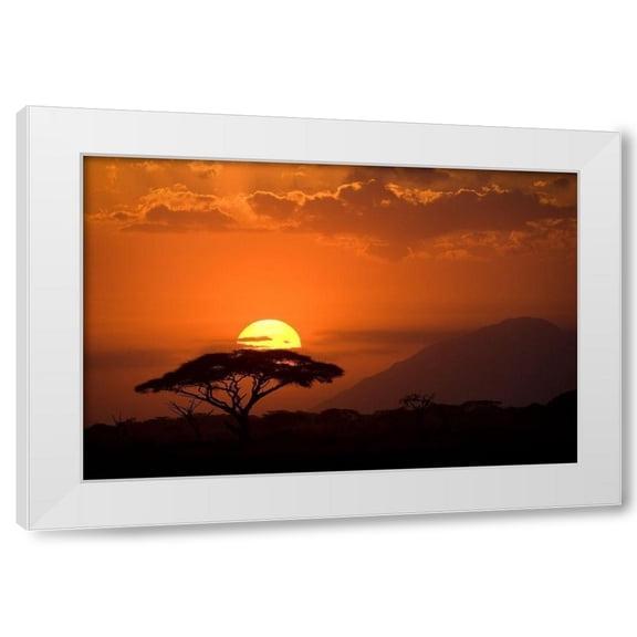 Jimmyz 4x14 White Modern Wood Framed Wall Art Titled - African Sunset I