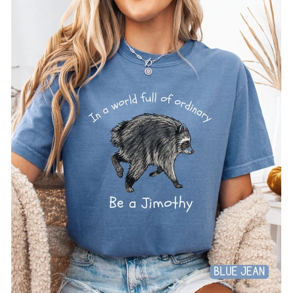 Jimothy Raccoon Shirt, Be a Jimothy Comfort Tee, Kindness Matters Tee, Inspirational T-Shirt, Mental Health Awareness Shirt Multicolor