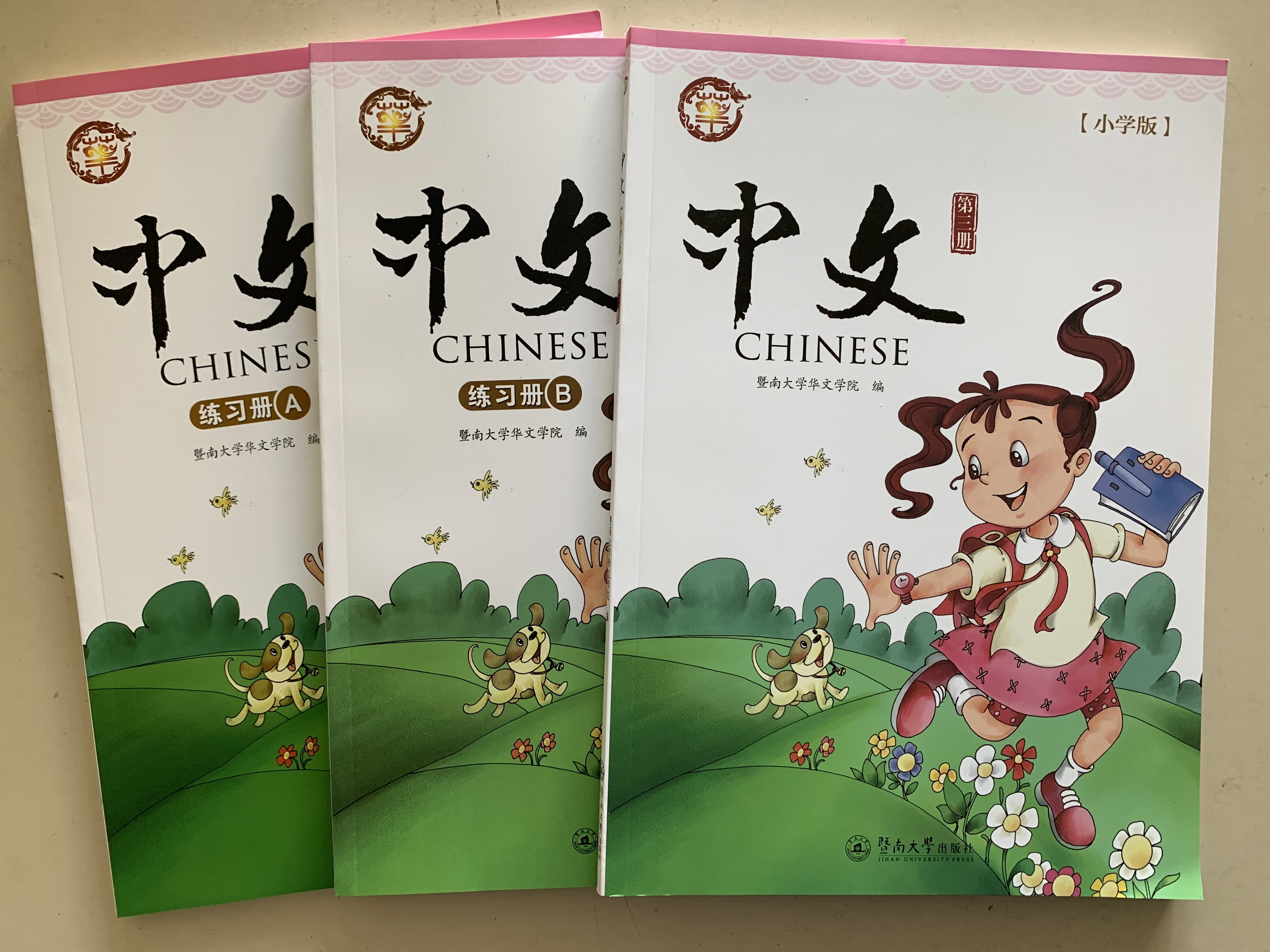 洋書 Zhonghua gu wen xian da ci dian  Mandarin Chinese Edition 洋書 Zhonghua gu wen xian da ci dian Mandarin Chinese