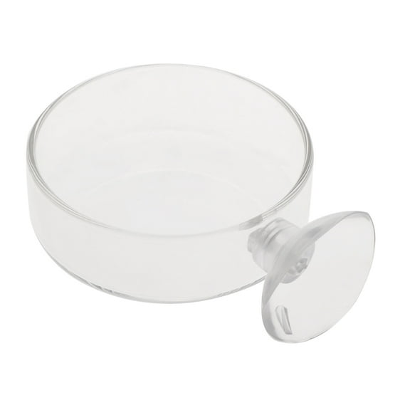 Jindis Glass Feeder Dish 2.4 Inches Wide 0.7 Inches Transparent Round Food Bowl for Cory Pleco Bottom Feeding Fish
