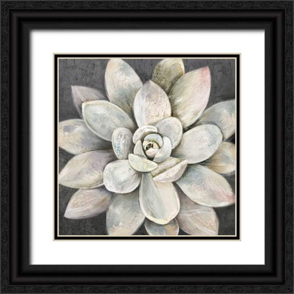 Jing, Jin 15x15 Black Ornate Wood Framed with Double Matting Museum Art Print Titled - Silver Succulent