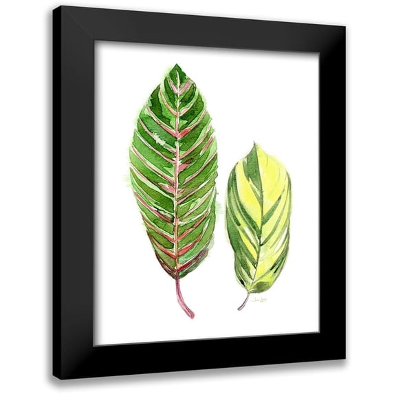 Jing, Jin 15x18 Black Modern Framed Museum Art Print Titled - Tropical Variegated Leaf