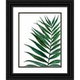 thumbnail image 1 of Jing, Jin 15x18 Black Ornate Wood Framed with Double Matting Museum Art Print Titled - Tropical Breeze Palm 2, 1 of 4