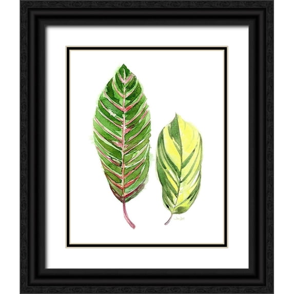 Jing, Jin 20x24 Black Ornate Wood Framed with Double Matting Museum Art Print Titled - Tropical Variegated Leaf