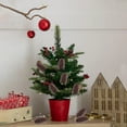thumbnail image 1 of JingChun 1Pc Christmas Pine Cones Decoration with String, Natural Rustic Pinecones Bulk Ornaments for Crafting for Home Accent Decor, Fall Thanksgiving Tree Decoration, 1 of 6