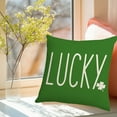 thumbnail image 1 of JingChun 1Pc St Patricks Day Pillow Cover 17x17 Inch Spring Green Shamrock Clover Decorative Outdoor Throw Pillow Cover Square St Patrick's Day Cushion Cover for Couch Sofa Home Decor, 1 of 6