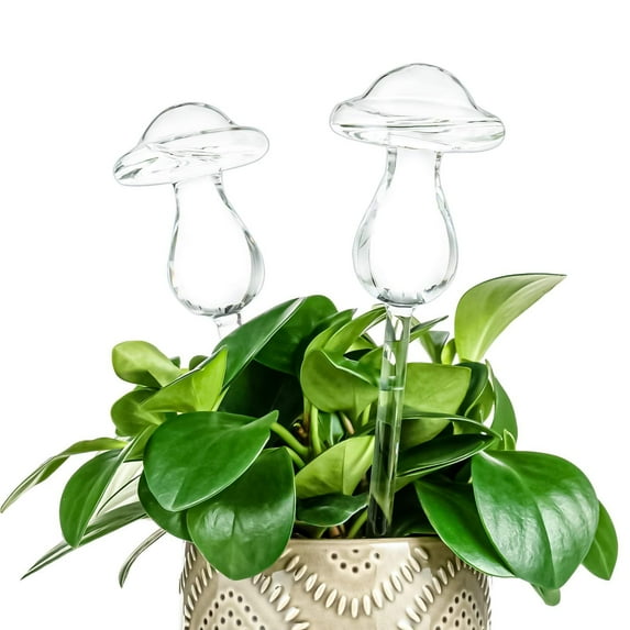 JingChun 2 Pcs Plant Watering Globes Large Mushroom Shaped Iridescent Self Watering Globes Clear Glass Planter Insert Devices for Indoor Outdoor Plant Lovers