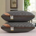 thumbnail image 1 of JingChun Feathers Down Pillows, Pillows Queen Size Soft Cotton Cover, Hotel Collection Bed Pillow for Back, Stomach or Side Sleepers, 1 of 6