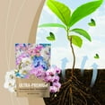 thumbnail image 1 of Jingjianm Ultra-Premium Bloom Boost Plant Nutrient Powder Next-Generation Orchid Fertilizer for Vibrant Blooms, 100g White, 1 of 4