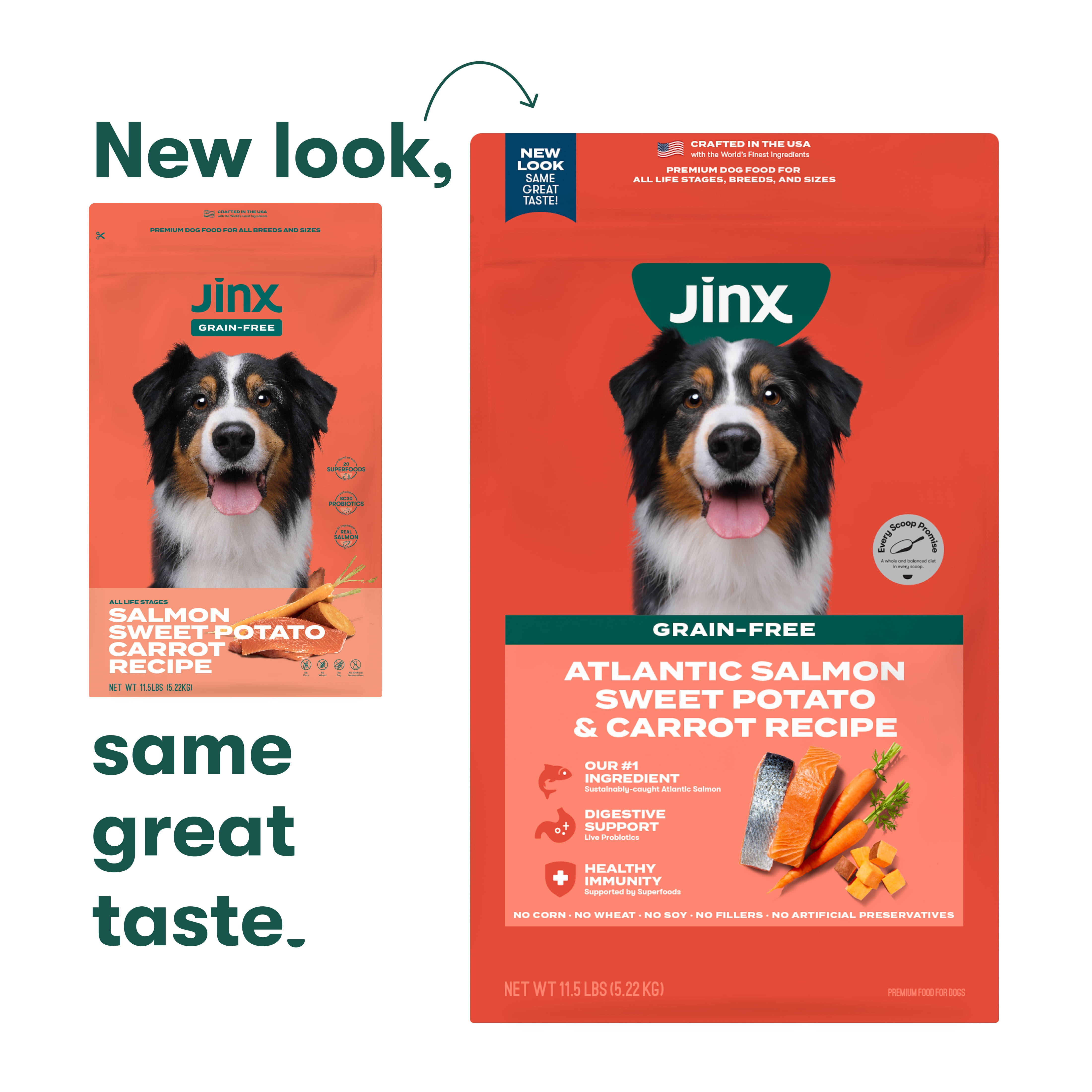 Jinx Salmon, Sweet Potato & Carrot Dry Dog Food, Grain Free, 11.5 lb