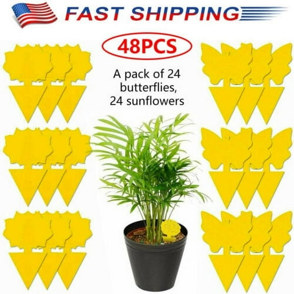 Jinyi 48 Pcs Sticky Fruit Fly Traps Fungus Gnat Killer Trap Use For Indoor&Outdoor Us