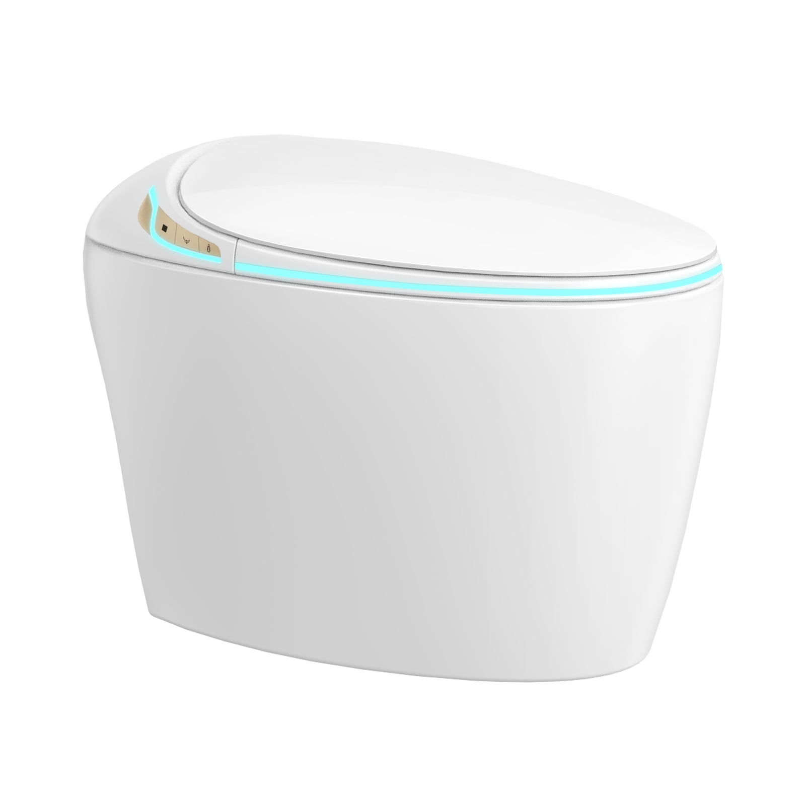Jkung Intelligent Toilet with Bidet Built in for Bathrooms, Toilet with