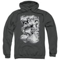 thumbnail image 1 of Jla - Atmospheric - Pull-Over Hoodie - Large, 1 of 2