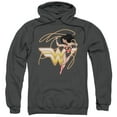 thumbnail image 1 of Jla - Glowing Lasso - Pull-Over Hoodie - Medium, 1 of 2
