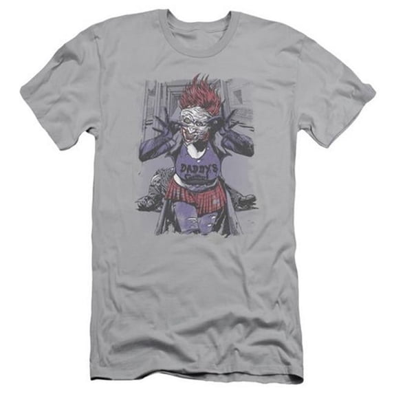 Jla-Jokers Daughter Short Sleeve Adult 30-1 Tee- Silver - Small