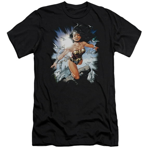JLA Justice League Of Themyscira S/S Adult 30/1 T-Shirt Black
