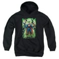 thumbnail image 1 of Jla - Power Burst - Youth Hooded Sweatshirt - Large, 1 of 2