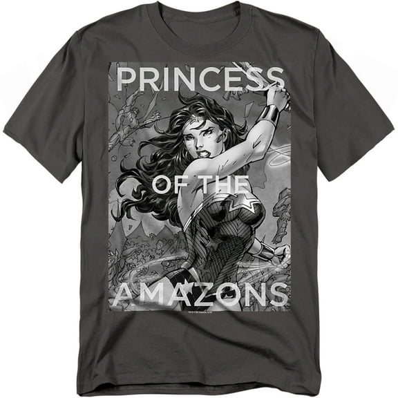 JLA T-Shirt Princess of The Amazons Unisex Graphic Tee For Men & Women Charcoal