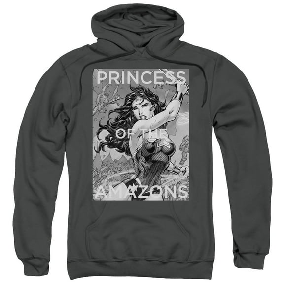 Jla - Princess Of The Amazons - Pull-Over Hoodie - Medium