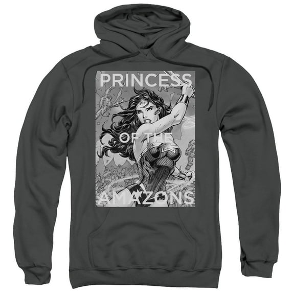 Jla - Princess Of The Amazons - Pull-Over Hoodie - X-Large