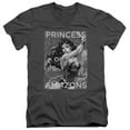 thumbnail image 1 of Jla - Princess Of The Amazons - Slim Fit V Neck Shirt - X-Large, 1 of 2