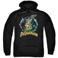 thumbnail image 1 of Jla - Ruler Of The Seas - Pull-Over Hoodie - XXXX-Large, 1 of 2