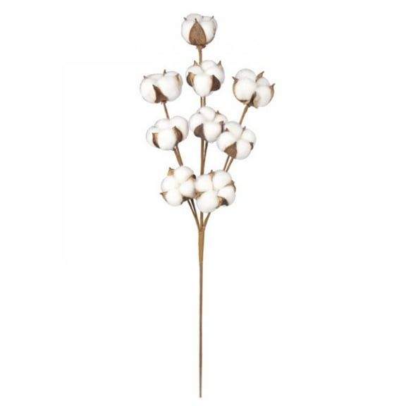 Jlong 5pcs Cotton Stems, Fake Cotton Flowers Dried Cotton Picks Stalks Plants, Artificial Cotton Floral Stems Faux Farmhouse Decorations for Vase Home Decor