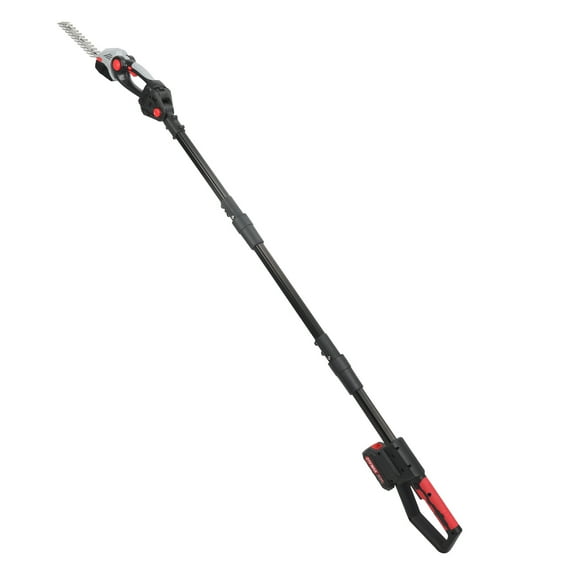 Jnismy 2-in-1 21V Mini Pole Hedge Trimmer, Electric Grass Shear with Extension Pole, Multi-Angle Adjustable Cordless Shrub Trimmer, Battery and Charger Included _Black